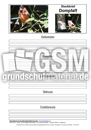 Steckbriefvorlage-Dompfaff-Gimpel.pdf